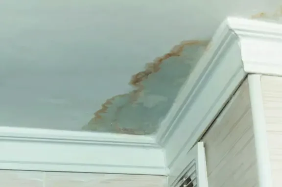 Water-damaged ceiling with staining and a compromised drywall paper face